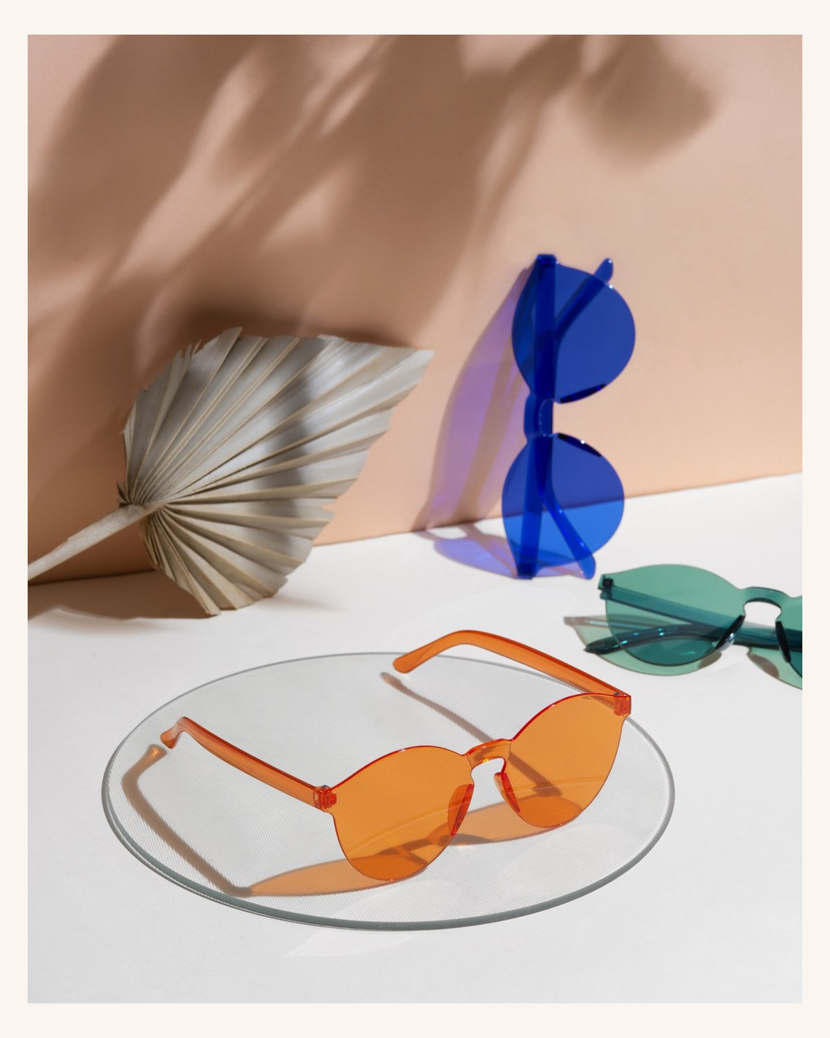 Transparent Frame Sunglasses